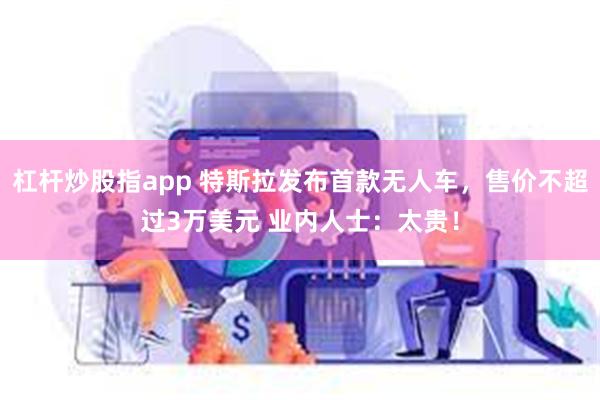 杠杆炒股指app 特斯拉发布首款无人车，售价不超过3万美元 业内人士：太贵！