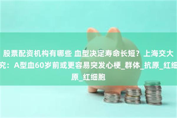 股票配资机构有哪些 血型决定寿命长短？上海交大研究：A型血60岁前或更容易突发心梗_群体_抗原_红细胞