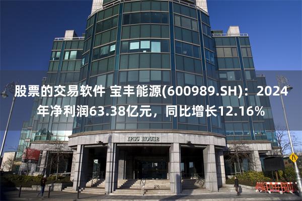 股票的交易软件 宝丰能源(600989.SH)：2024年净利润63.38亿元，同比增长12.16%