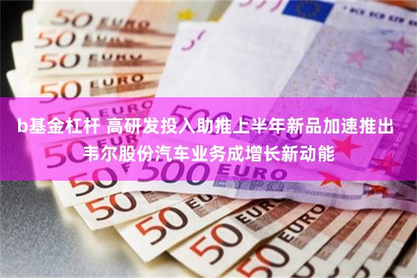b基金杠杆 高研发投入助推上半年新品加速推出 韦尔股份汽车业务成增长新动能