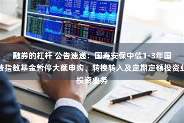 融券的杠杆 公告速递：国寿安保中债1-3年国开债指数基金暂停大额申购、转换转入及定期定额投资业务
