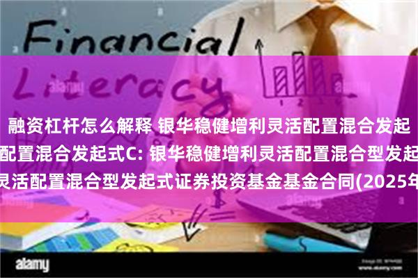 融资杠杆怎么解释 银华稳健增利灵活配置混合发起式A,银华稳健增利灵活配置混合发起式C: 银华稳健增利灵活配置混合型发起式证券投资基金基金合同(2025年6月修订)